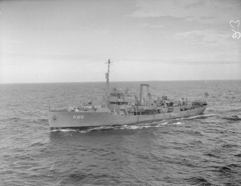 HMS Begonia